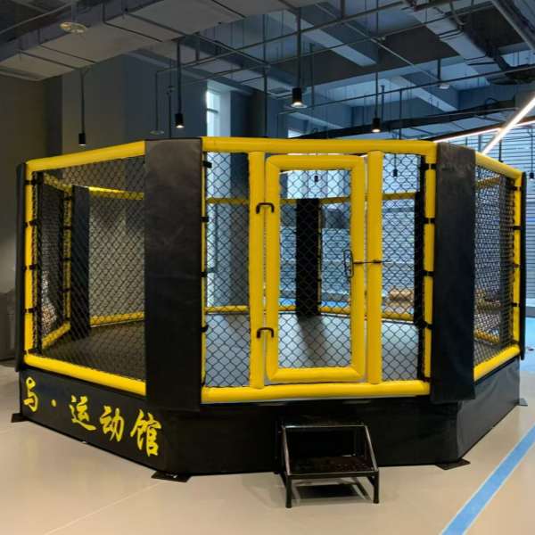 Professional Training MMA Cage Fighting UFC Competition